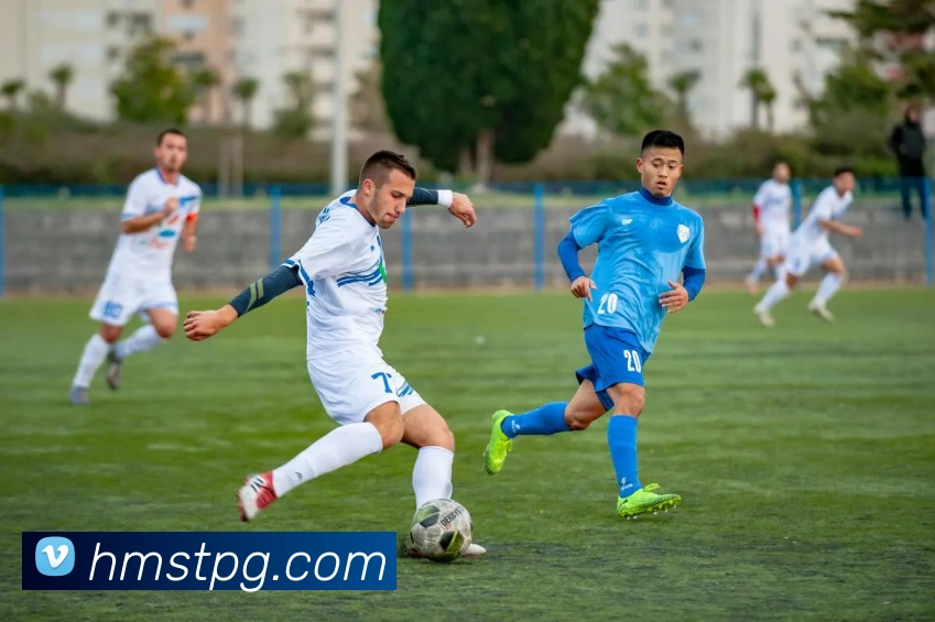 新葡京娱乐城平台生态图